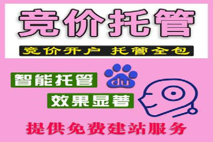 竞价代运营在SEM推广中的实战经验分享